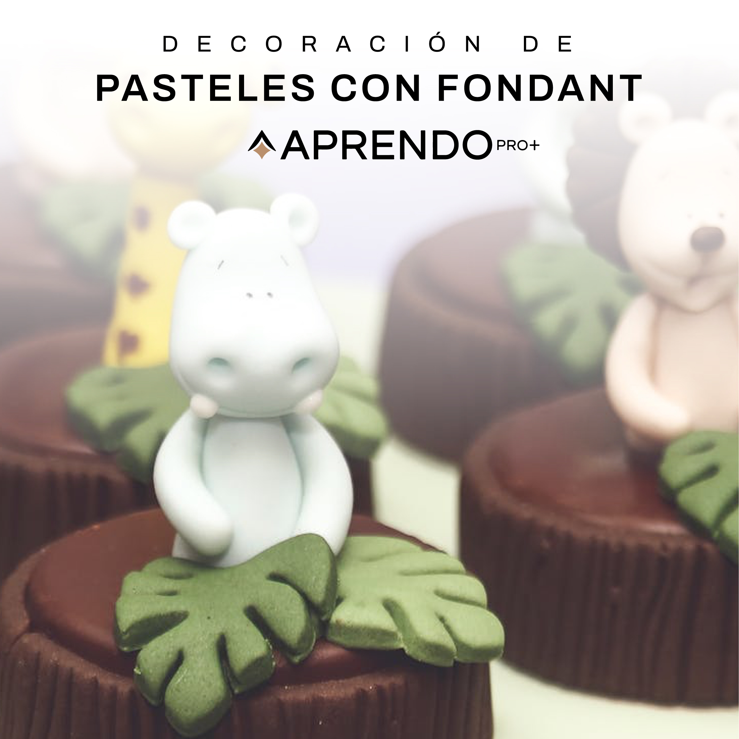 Decoracion Pasteles cuadrada