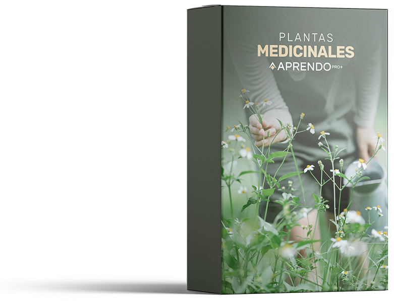 LIBROPLANTAS