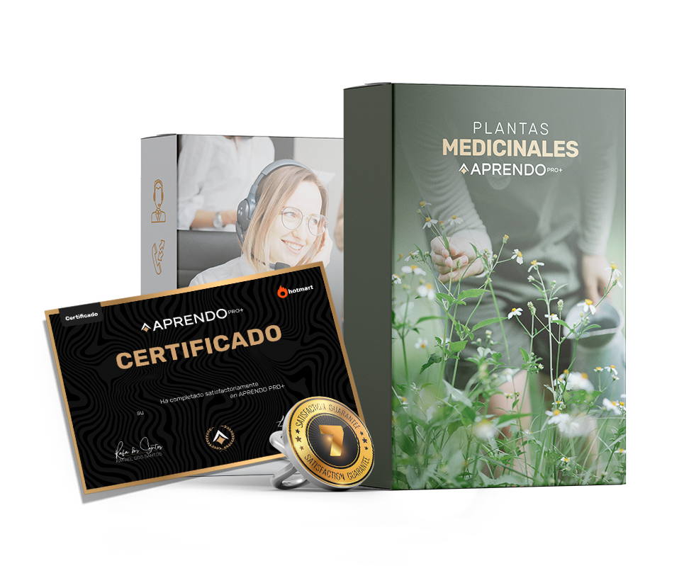 Mockups-plantas