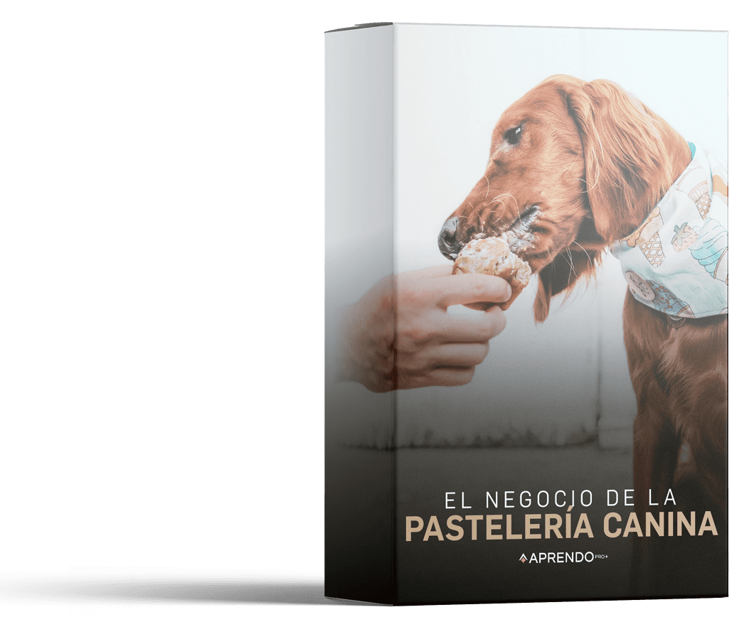 Caja-Mockup