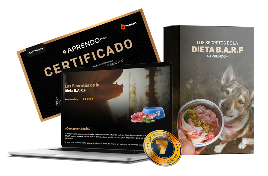Mockup-Oferta-barf