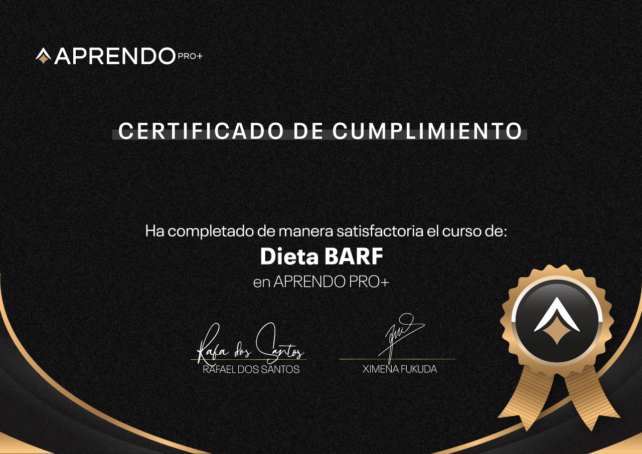 CERTIFICADO (1)
